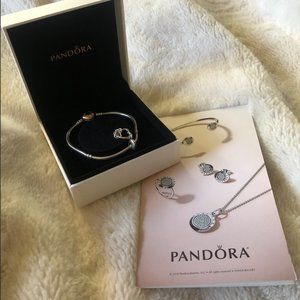 Pandora Bracelet and Charms